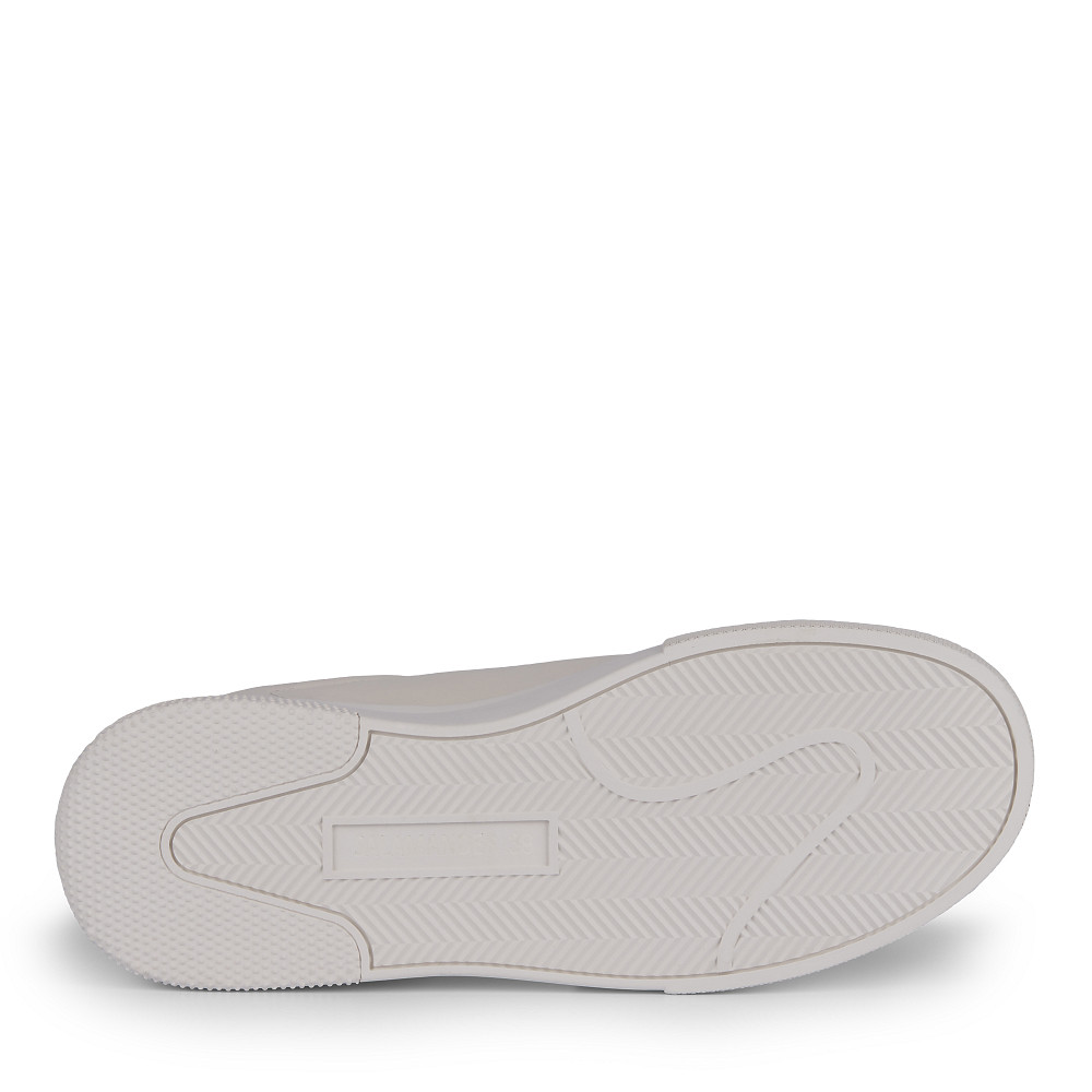 

SALAMANDER, Молочный