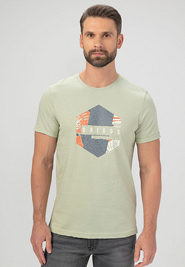 BRIGGS Футболка мужская 850-31N-0404