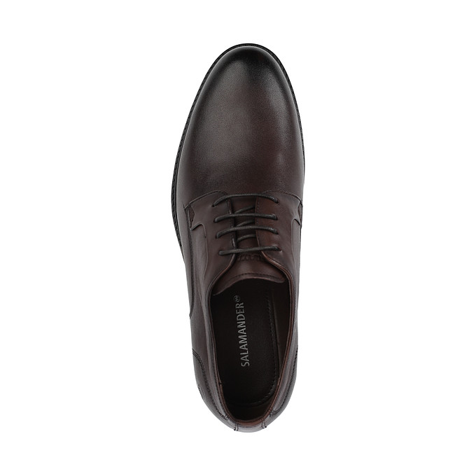 Коричневые кожаные мужские туфли «Саламандер»