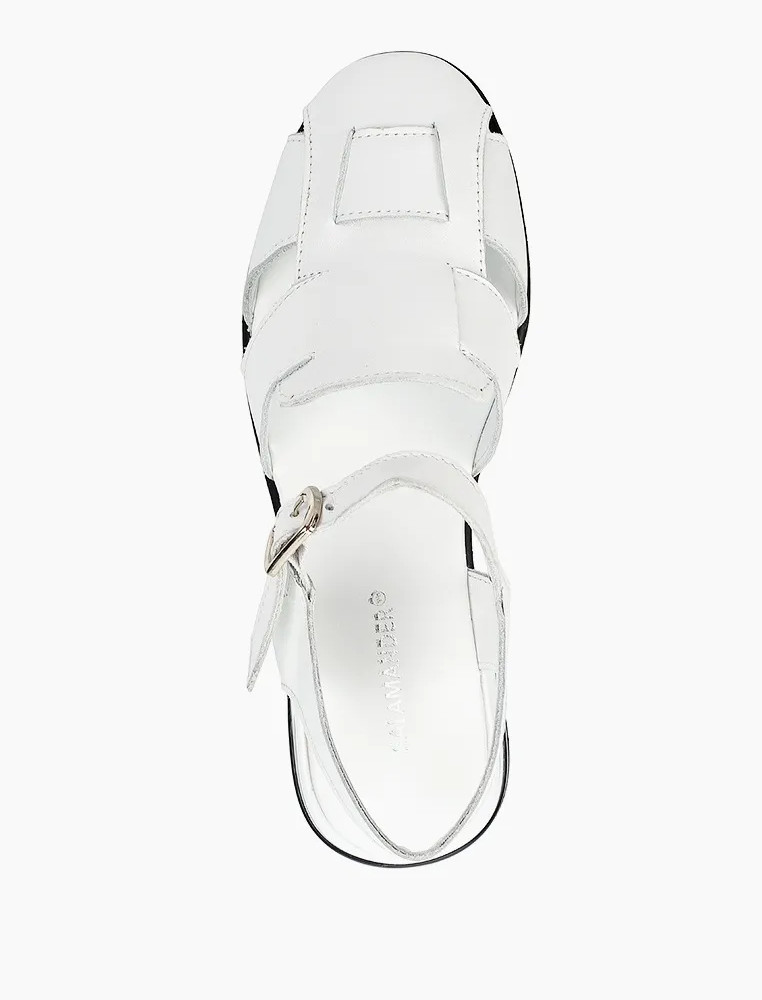 

SALAMANDER, Белый