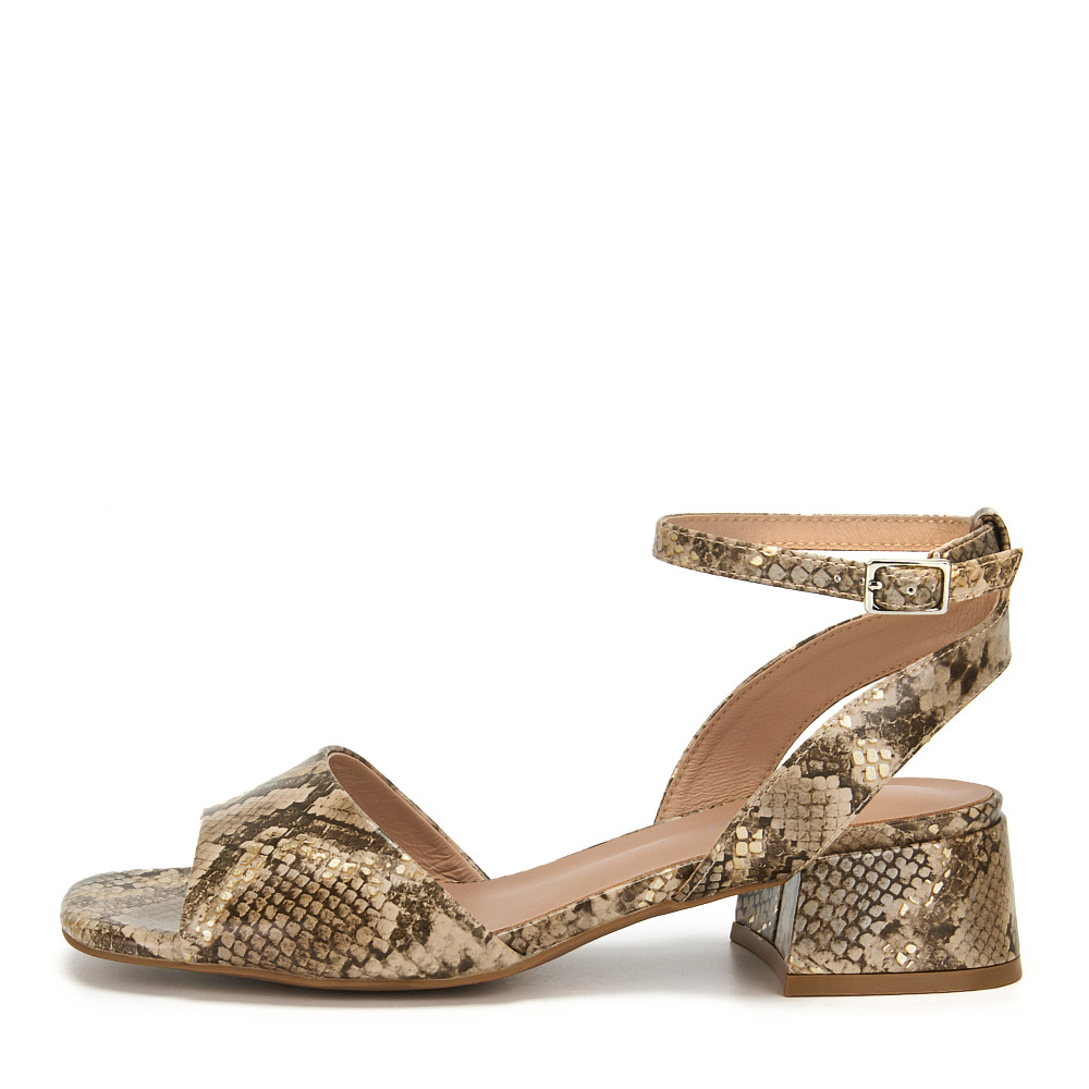 

Thomas Munz, Бежевый