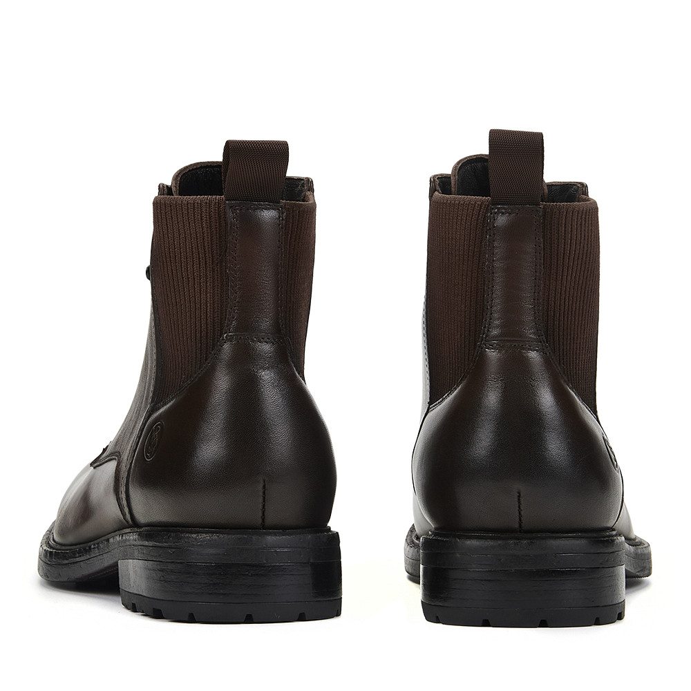 

SALAMANDER, Коричневый