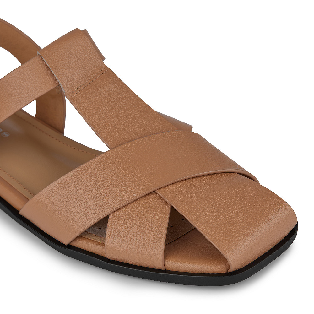 

SALAMANDER, Бежевый