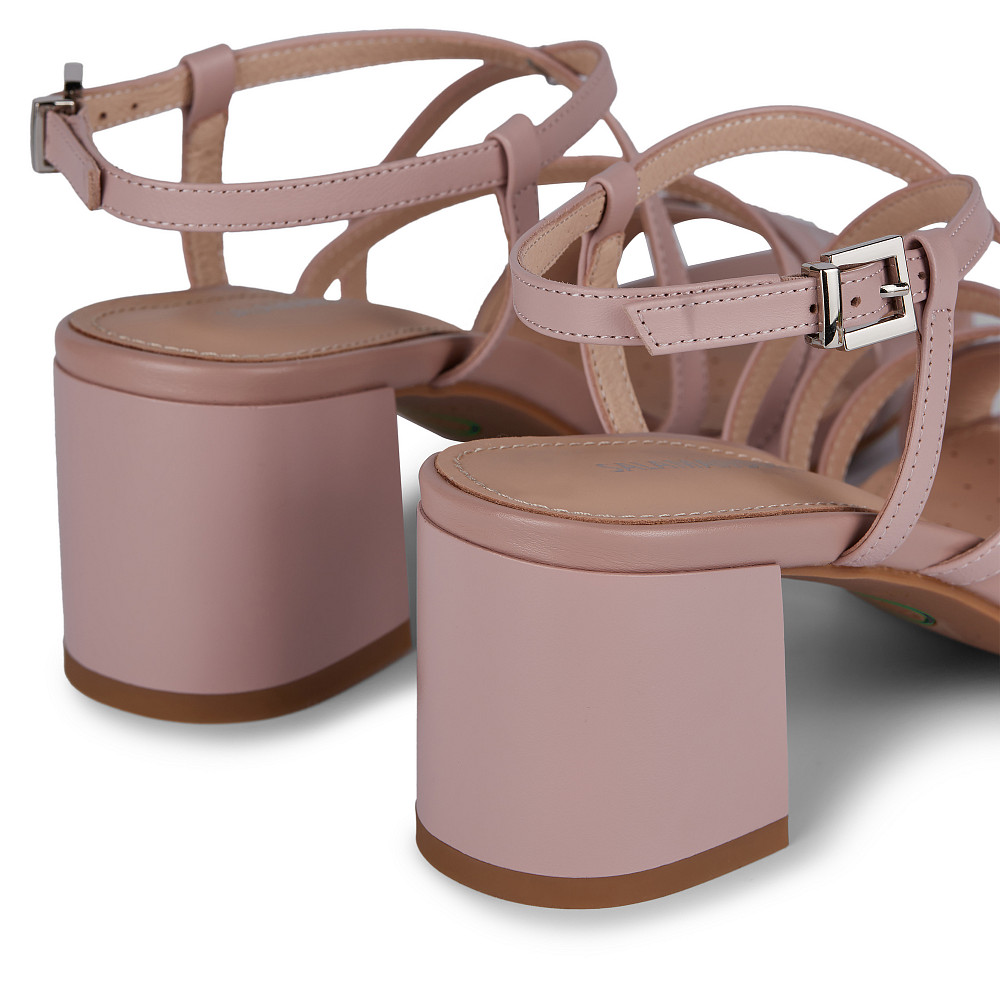 

SALAMANDER, Розовый