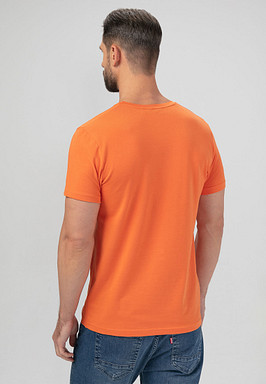 BRIGGS Футболка мужская 850-31N-0613