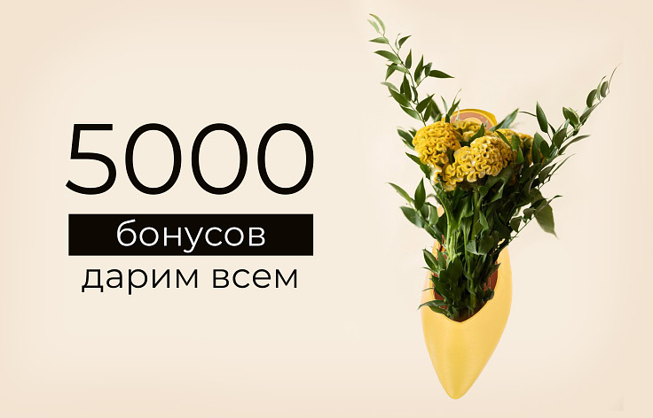 Дарим 5 000 бонусов всем*