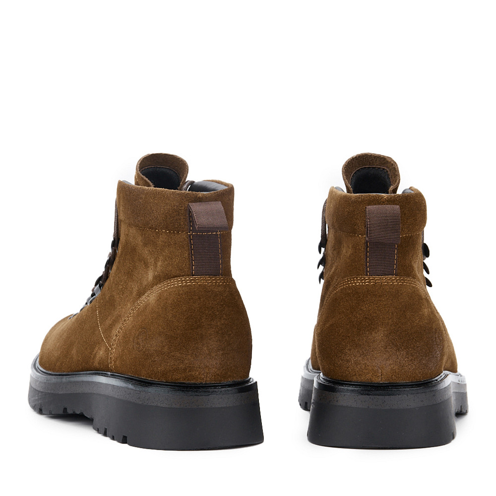 

SALAMANDER, Рыжий