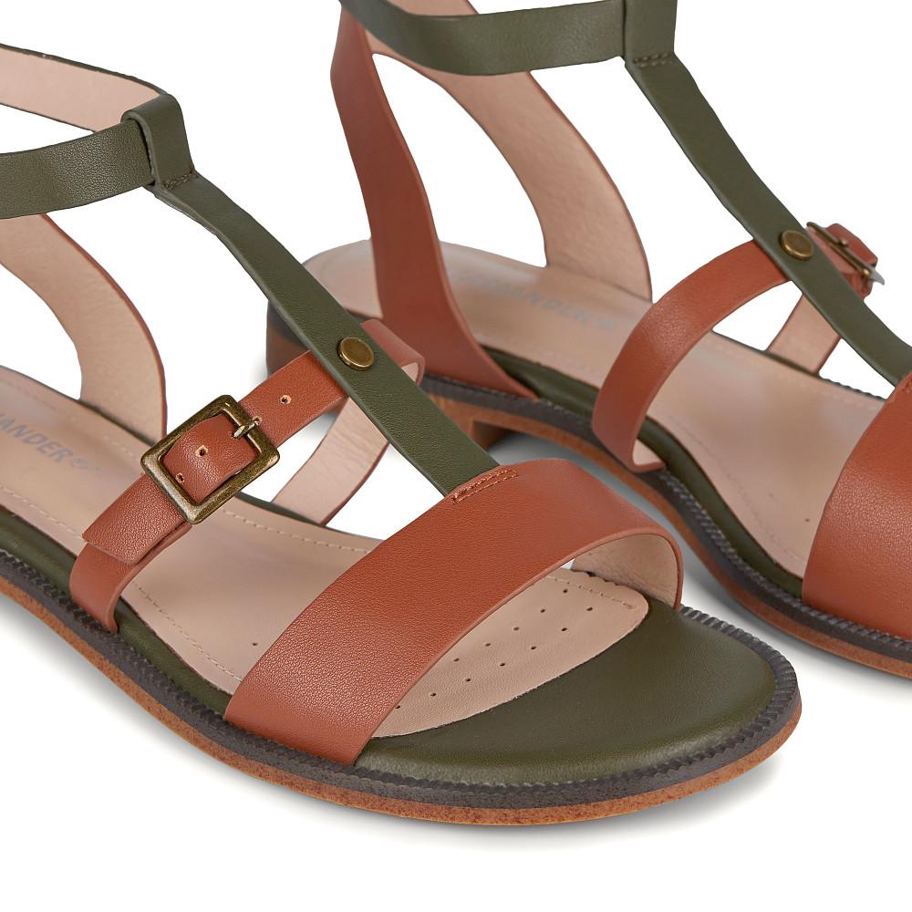 

SALAMANDER, Рыжий