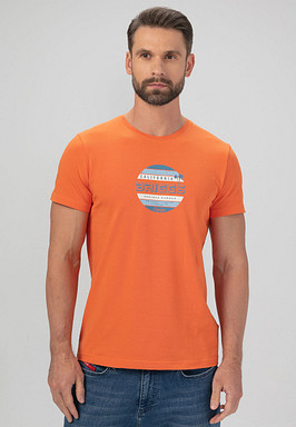 BRIGGS Футболка мужская 850-31N-0613