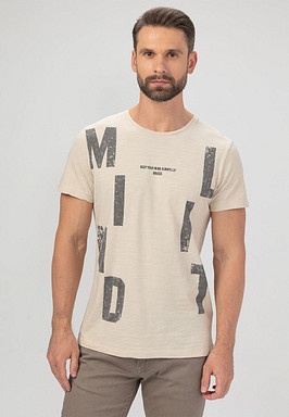 BRIGGS Футболка мужская 850-31N-0708