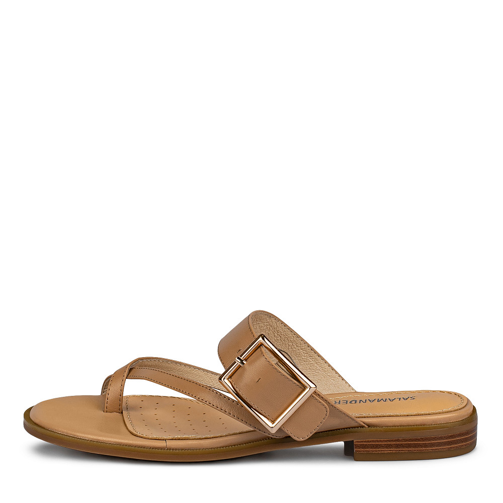 Сабо Salamander 1599₽