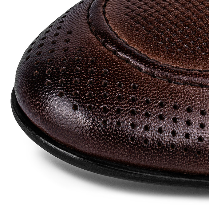 Коричневые мужские туфли с перфорацией из кожи Salamander на белом фоне
