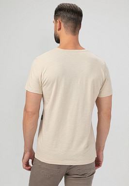 BRIGGS Футболка мужская 850-31N-0708