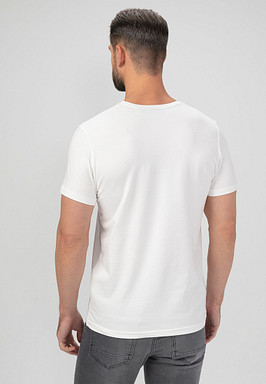 BRIGGS Футболка мужская 850-31N-0601