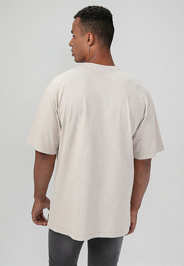 BRIGGS Футболка мужская 850-31N-0208