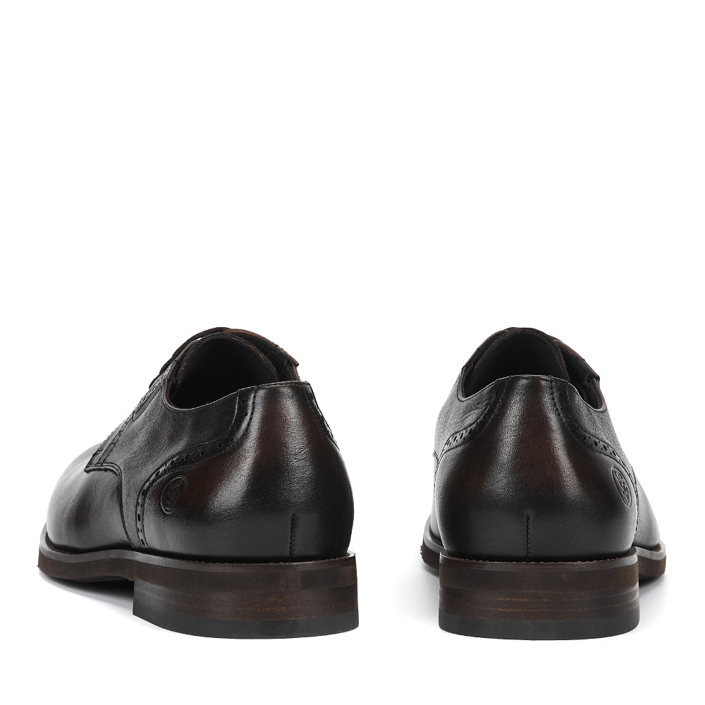 

SALAMANDER, Коричневый