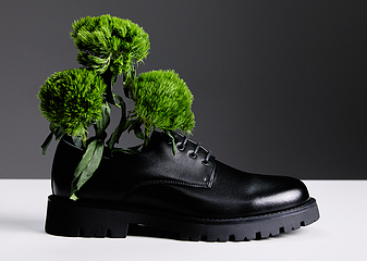 Тренд сезона