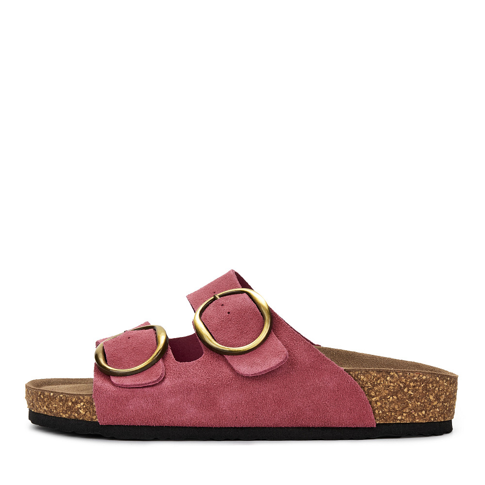 Thomas Munz Thomas Munz