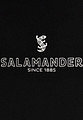 Толстовка SALAMANDER_5