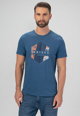 BRIGGS Футболка мужская 850-31N-0403