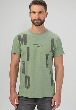 BRIGGS Футболка мужская 850-31N-0704